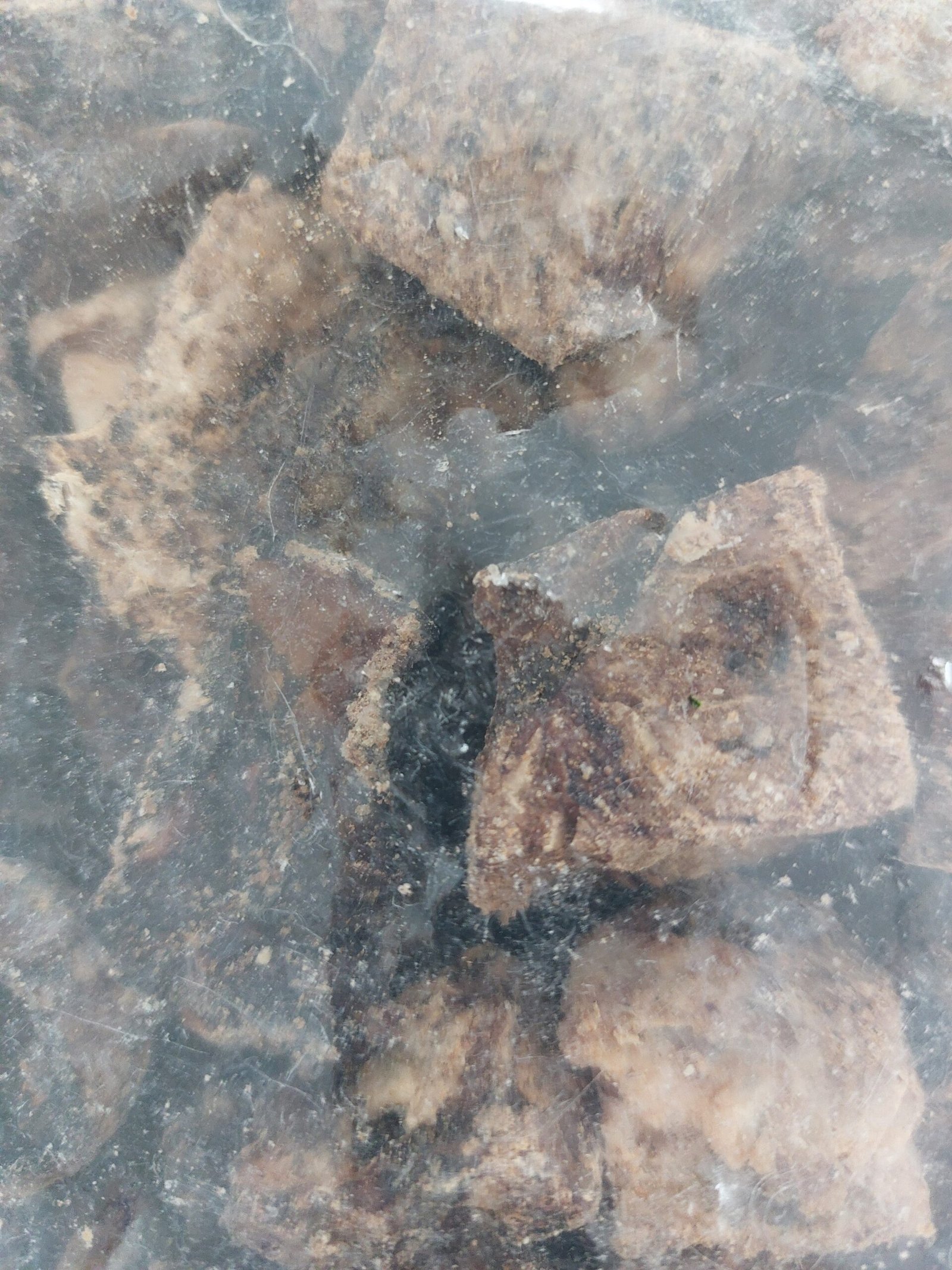 Trainers Runderlong - Afbeelding 2