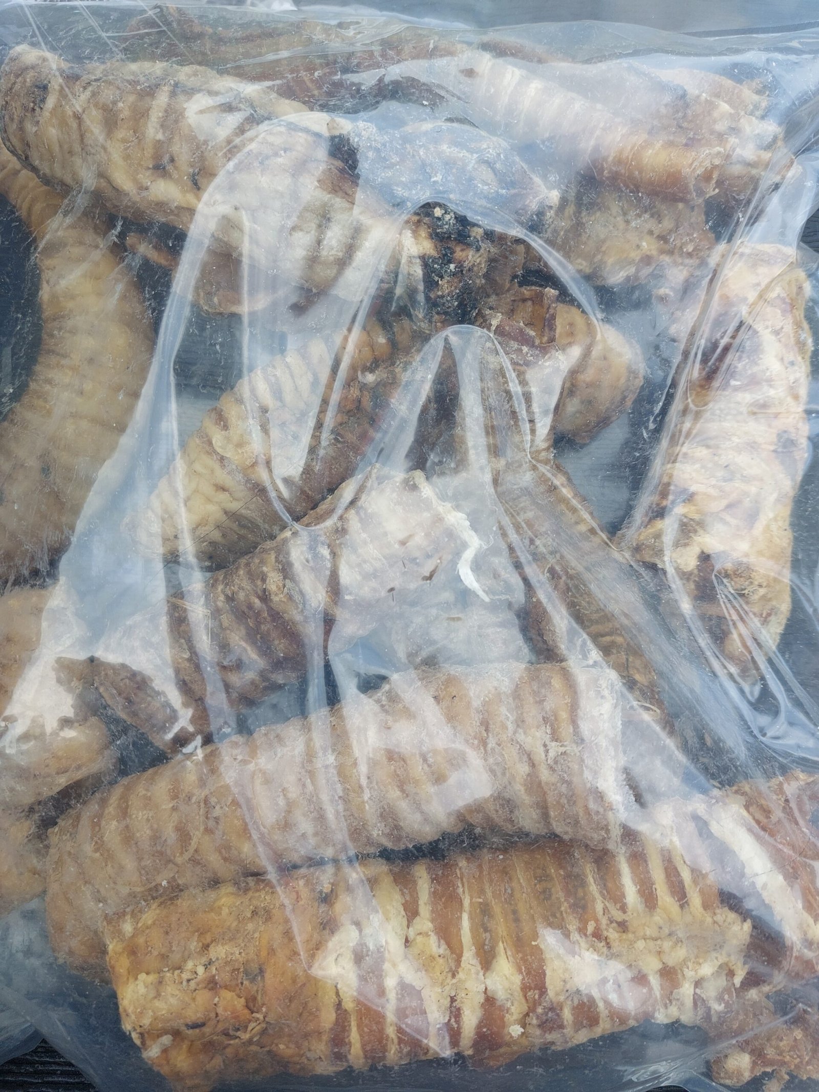 Runder Luchtpijp - Afbeelding 2